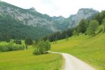 2014-07-05_Laengental-N-Hochweg (306). JPG